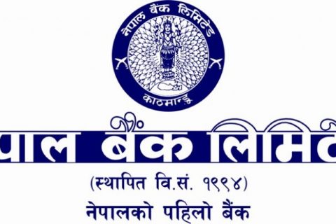 नेपाल बैंकमा खुल्यो जागिरः सातै प्रदेशमा १२ कक्षादेखि स्नातकसम्मले फारम भर्न मिल्ने