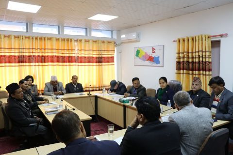 पुनर्निर्माण सन्तोषजनक : राष्ट्रिय सरोकार समिति