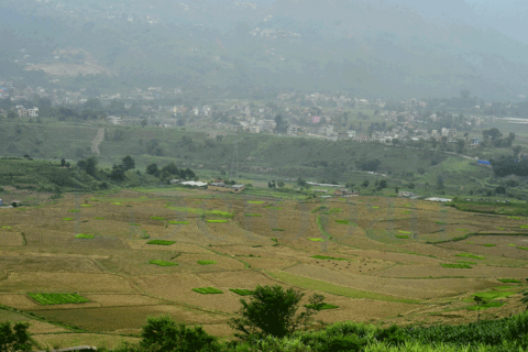 बाँझो जमिनमा खेती गर्न चाहाने किसानहरूलाई गण्डकी प्रदेशले प्रोत्साहन गर्ने