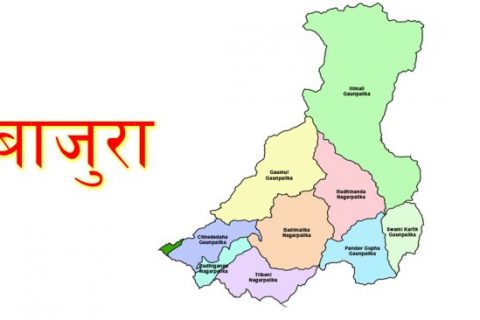 बाजुरामा रायोको साग र रोटी खाँदा दश जना बिरामी