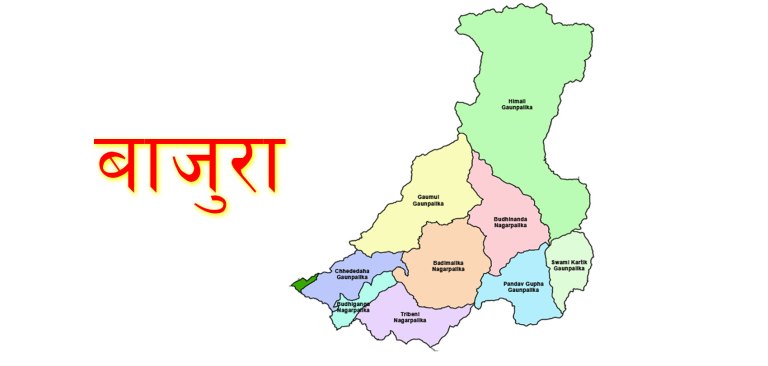 बाजुरामा रायोको साग र रोटी खाँदा दश जना बिरामी