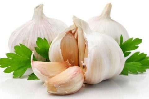 यस्ता छन् लसुन खानुको फाइदा