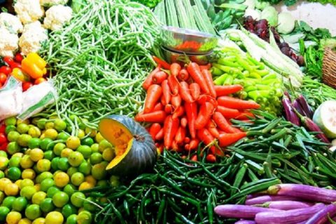 तनहुँको आँबुखैरेनीमा  बिषादी परीक्षण शुरु
