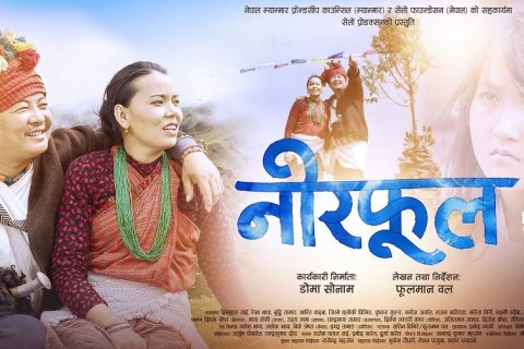 कोरोना भाईरसका कारण दयाहाङको ‘नीरफूल’ सर्‍यो