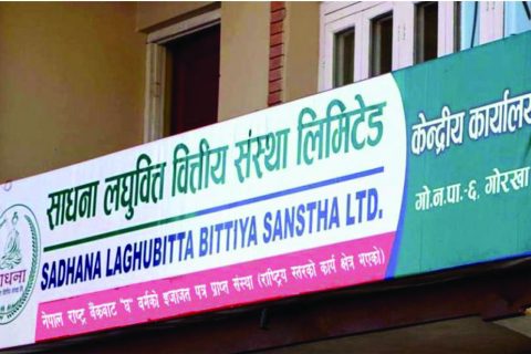 साधना लघुवित्तले निष्काशन गरेको आईपिओले गर्यो रेकर्ड ब्रेक