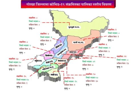 गोरखा जिल्लाका ११ वटै स्थानीयतहको पालिका स्तरीय कोरोना संक्रमणको पछिल्लो अबस्था यस्तो छ !