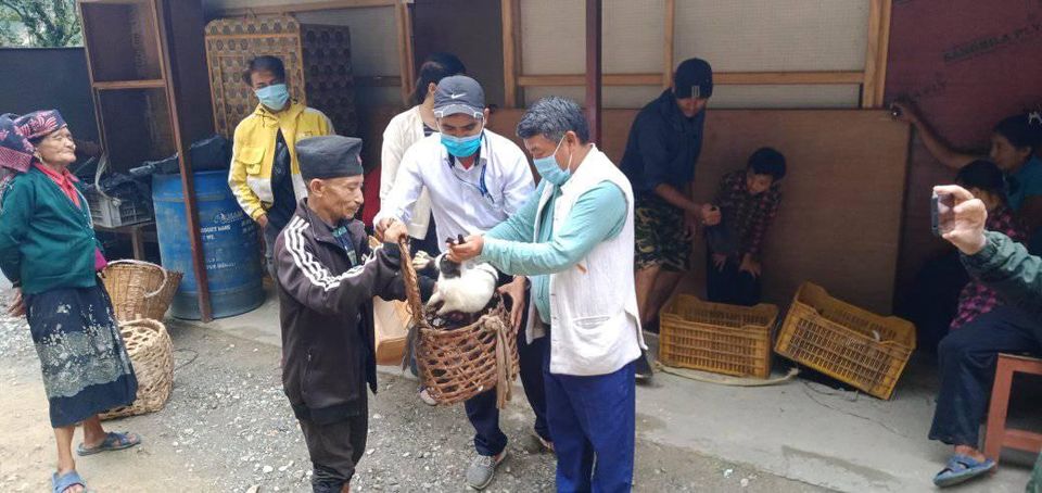 गोरखाको धार्चेमा बिपन्न समुदायको जिविकोपार्जन लागि खरायो बितरण
