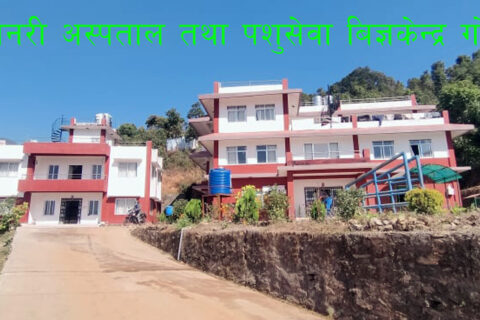 गोरखाका किसानलाई दुध उत्पादनमा प्रोत्साहनका लागि नगद अनुदान कार्यक्रम