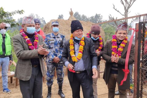 तिनवटै तहका सरकारको प्राथामिकतामा कृषि क्षेत्र : कृषिमन्त्री थापामगर