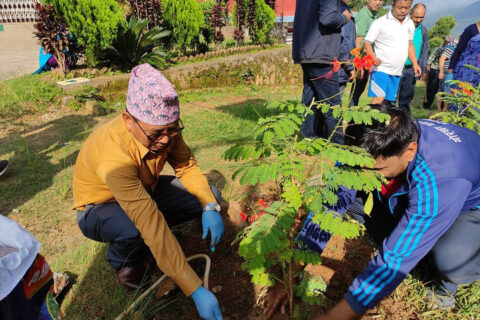 गोरखा नगरपालिका परिषरमा बृक्षारोपण (फोटोफिचर)