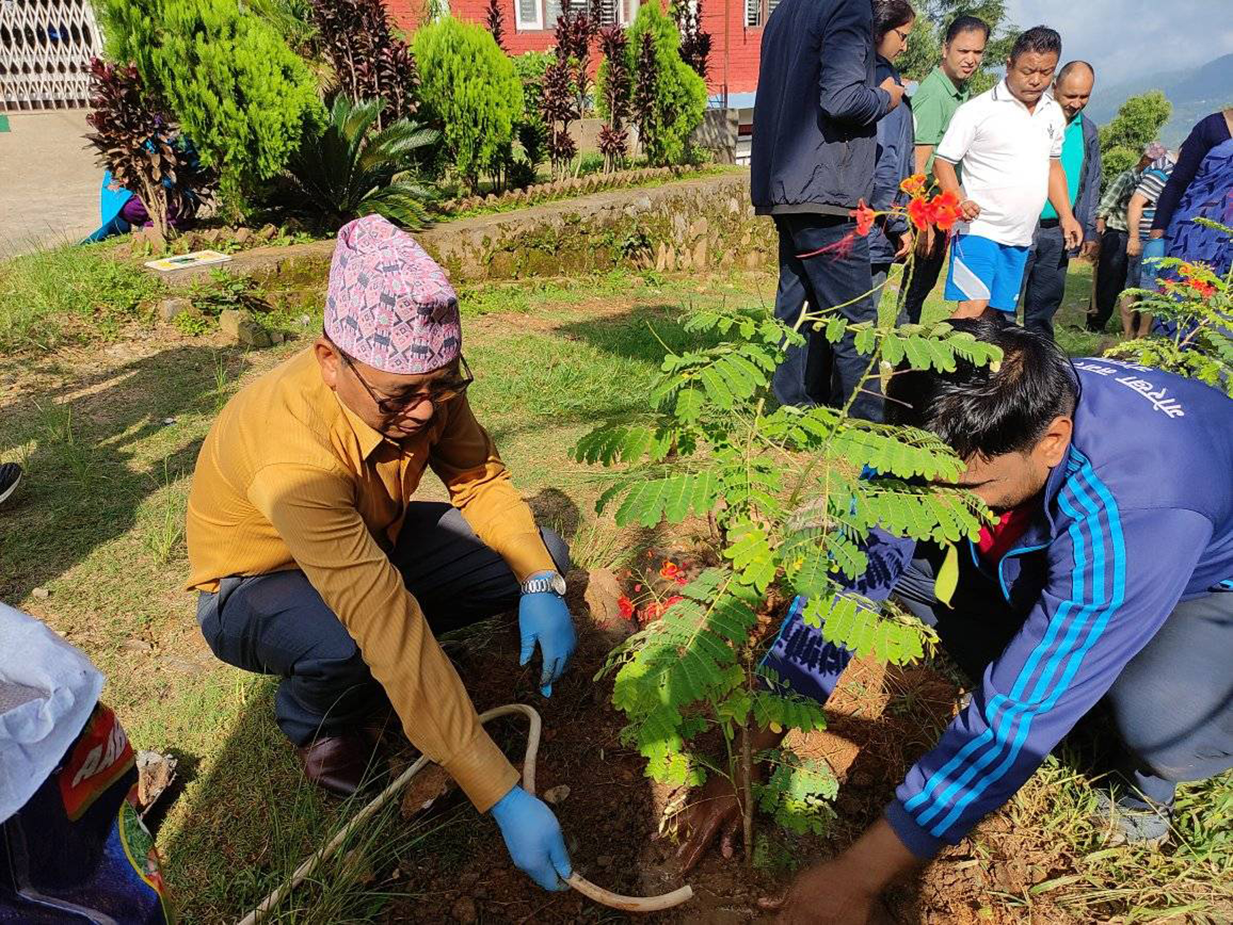 गोरखा नगरपालिका परिषरमा बृक्षारोपण (फोटोफिचर)