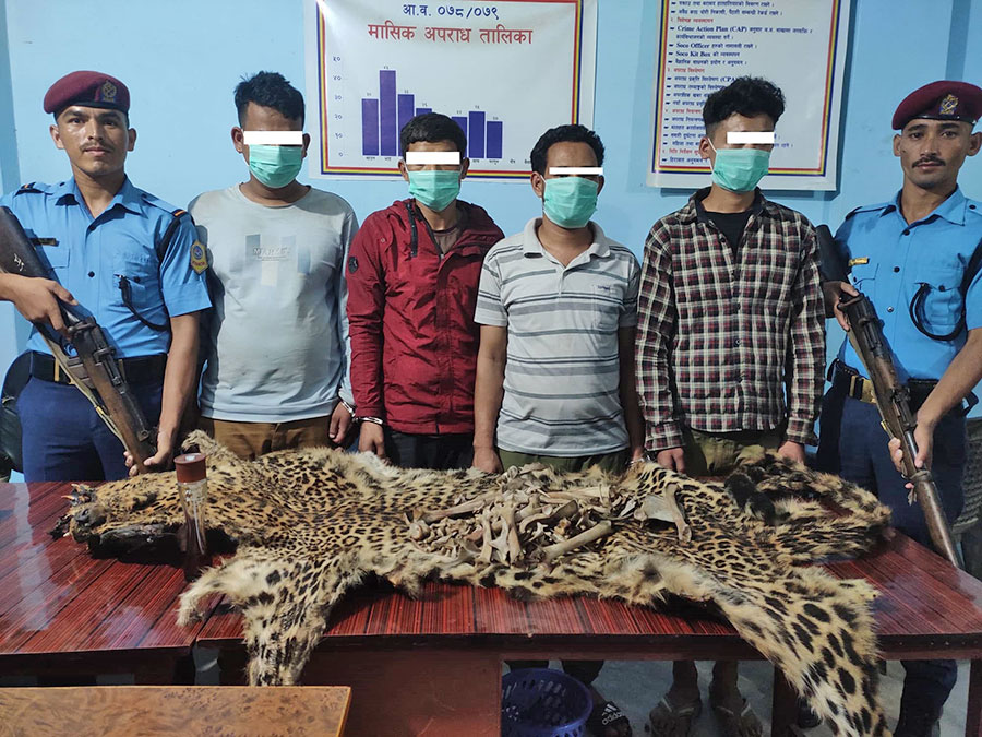 बाघको छालासहित ४ जना युवक पक्राउ