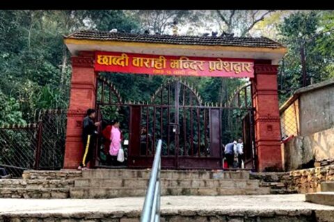 छाब्दी बाराही मन्दिरमा परेवा लैजान रोक