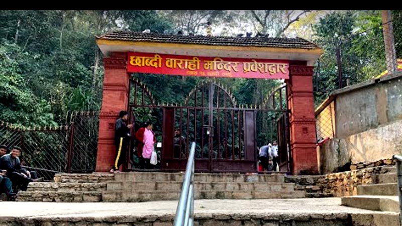 छाब्दी बाराही मन्दिरमा परेवा लैजान रोक