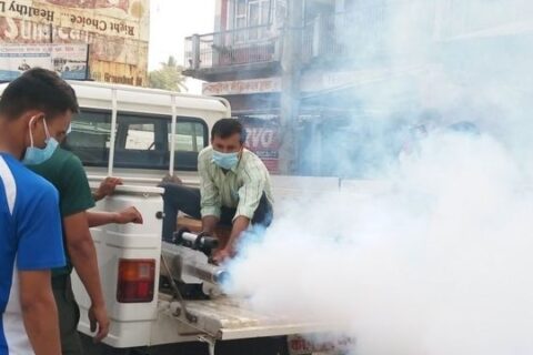 डेङ्गु नियन्त्रणका लागि कीटनाशक औषधि छर्न माग