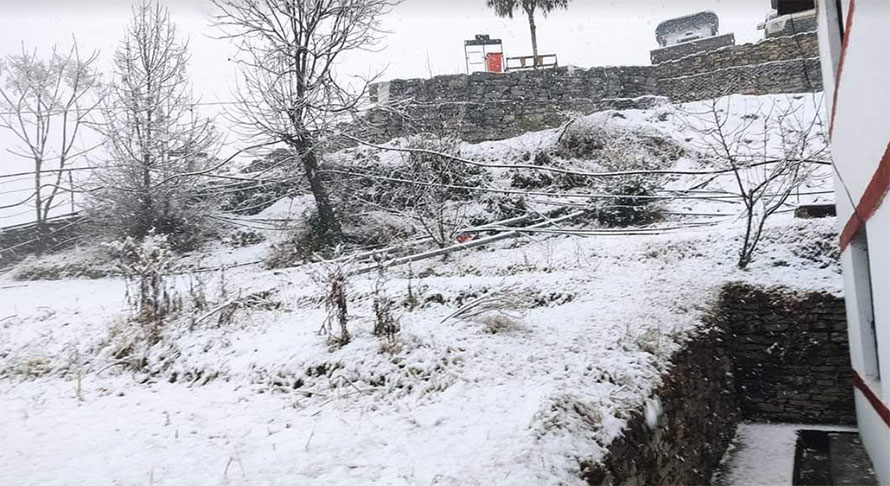 मुगुमा हिमपात, कृषकमा खुसीयाली छायो