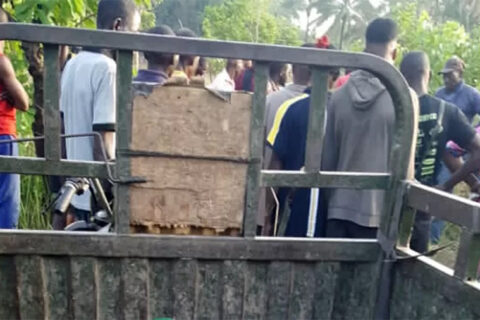 गोठालाहरूको आक्रमणमा परी ५० जनाको मृत्यु