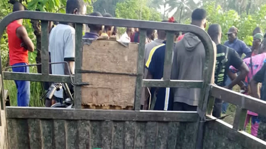 गोठालाहरूको आक्रमणमा परी ५० जनाको मृत्यु