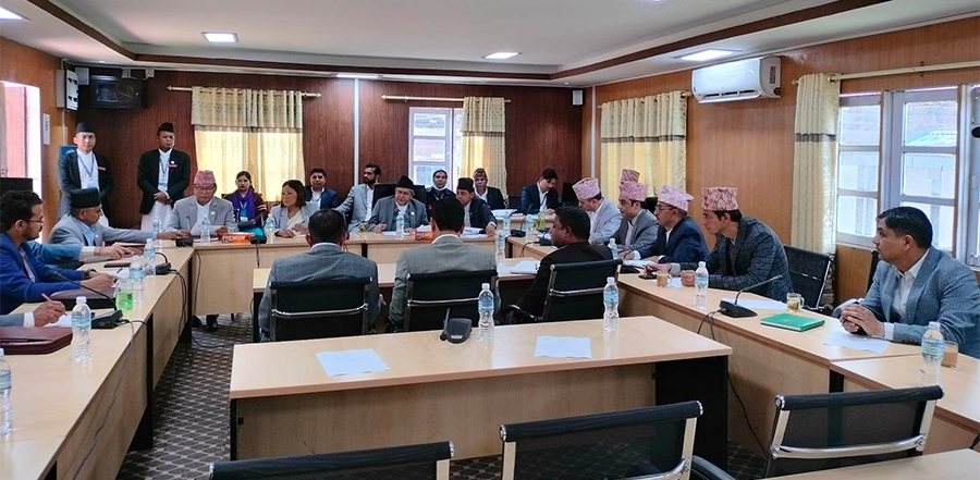 प्रतिनिधिसभामा ४ दिनसम्म प्रि बजेट छलफल हुने