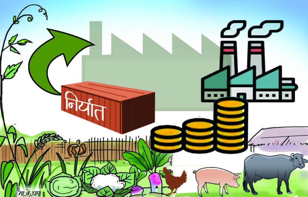 नेपालबाट पहिलो पटक पशुआहार चीन निर्यात