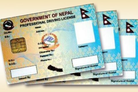 ‘लाइसेन्स’ छपाइ तीव्र गतिमा