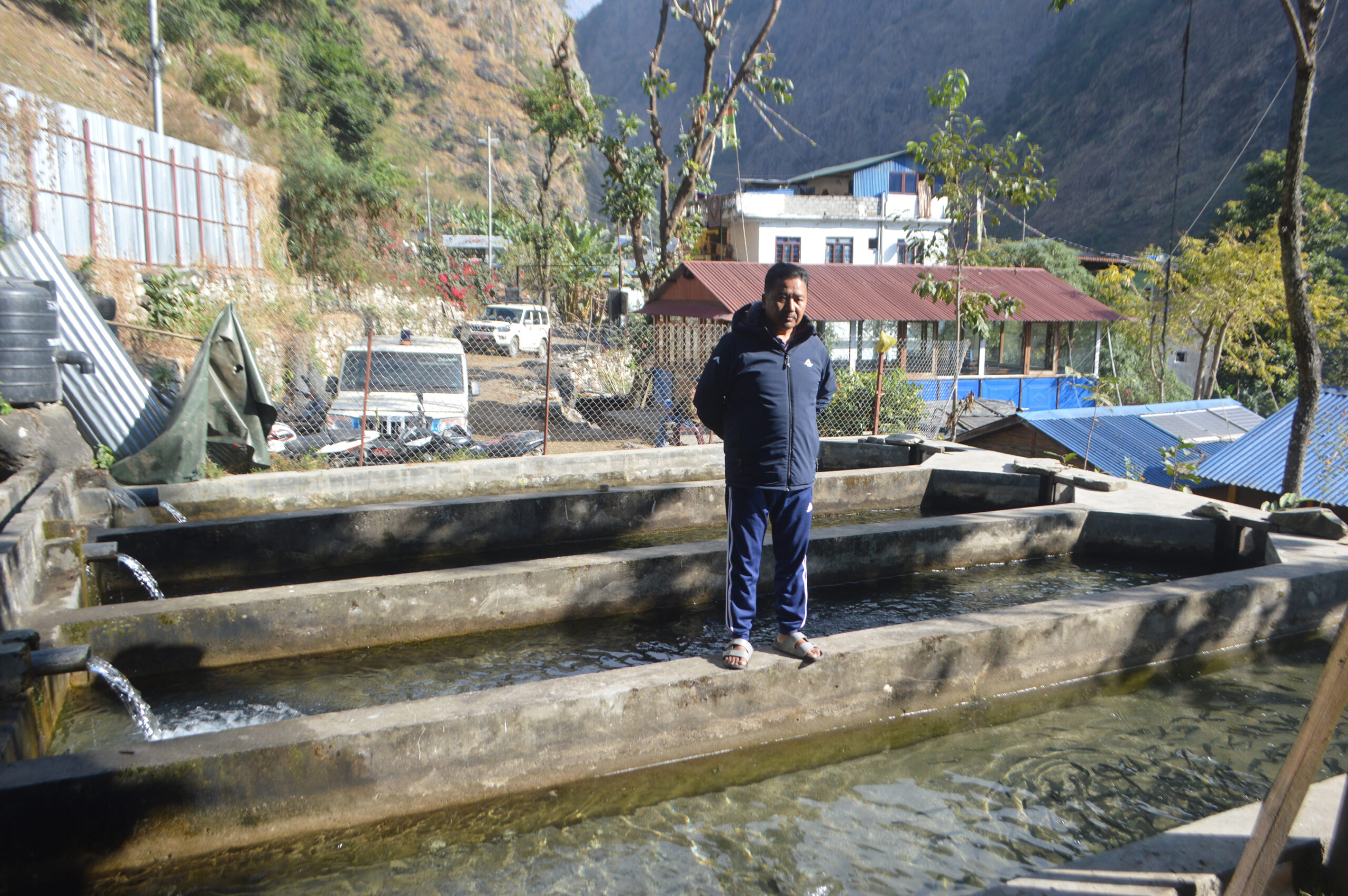 राजनीतिसंगै व्यवसायिक माछा पालनमा रमाउँदै गोरखा धार्चेका गाउँपालिका अध्यक्ष गुरुङ