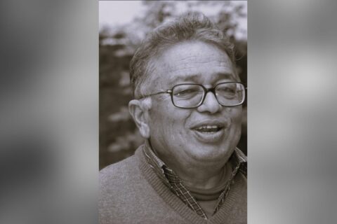 वरिष्ठ साहित्यकार परशु प्रधानको निधन