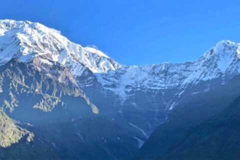 ‘एक्याप’को प्रवेश शुल्क अब अनलानबाट तिर्न सकिने