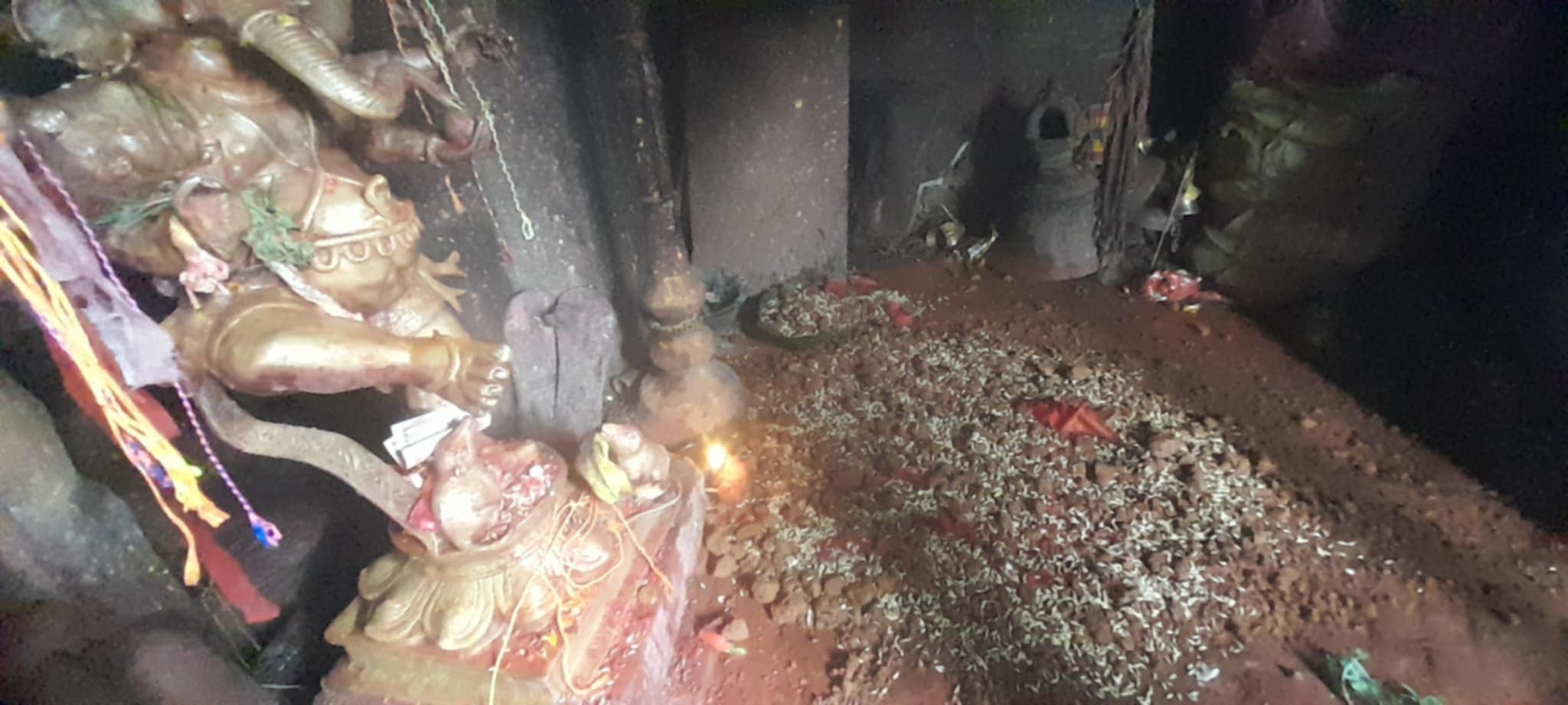 गोरखा दरबारमा विधिपूर्वक जमरा राखियो