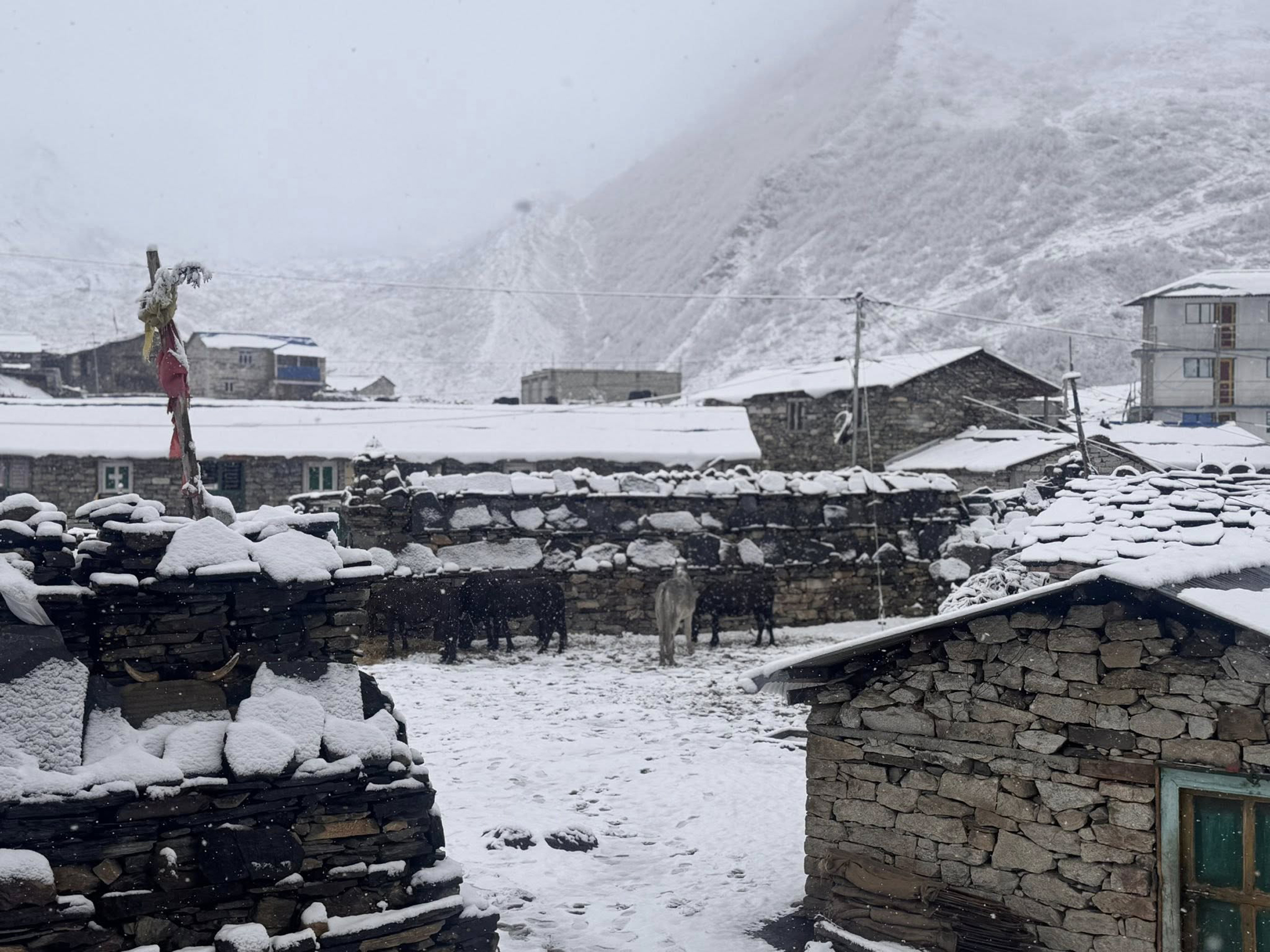 उत्तरी गोरखाको साम्दो क्षेत्रमा भारी हिमपात
