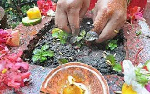 आषाढ शुक्ल एकादशीः घरका मठमा तुलसी रोपियो