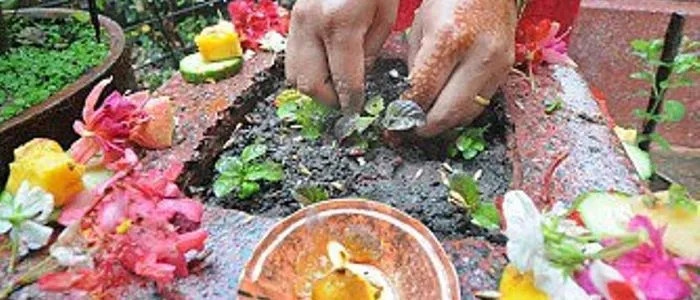 आषाढ शुक्ल एकादशीः घरका मठमा तुलसी रोपियो