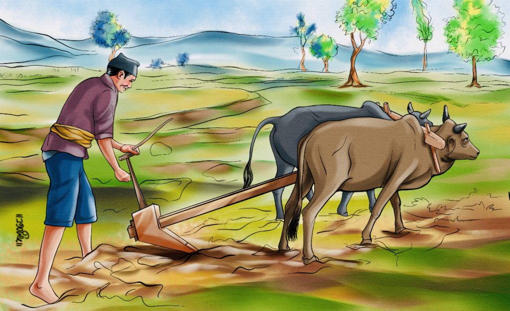 तनहुँमा कृषि र पशुपन्छी विकासको लागि साढे १४ करोड बजेट