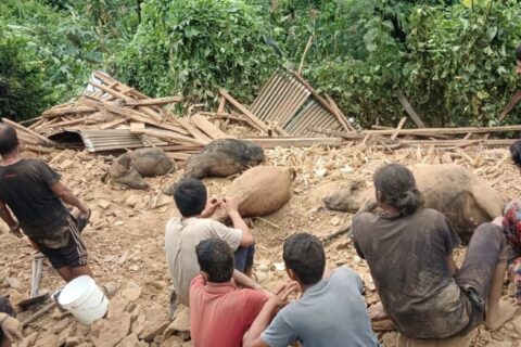 गोठ भत्किँदा पाँच पशुचौपाया मरे
