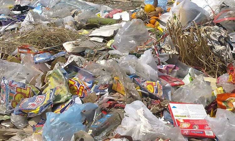 गोरखाको आरुघाट गाउँपालिकामा नियमित फोहर संकलन सेवा सुरु