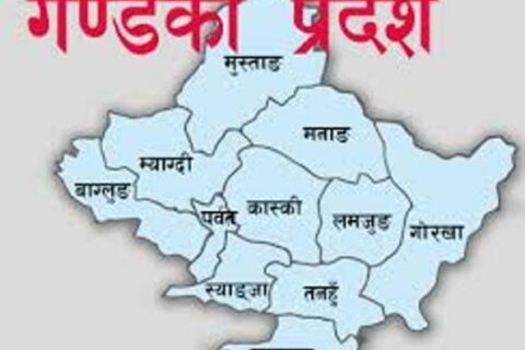 गण्डकीमा क्षतिग्रस्त भौतिक संरचनाको प्रारम्भिक मूल्याङ्कन गरिँदै