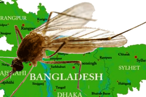 बङ्गलादेशमा सन् २०२५ मा डेङ्गुका कारण चार सयभन्दा बढीको मृत्यु