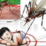१३ जनामा औलो सङ्क्रमण पुष्टि