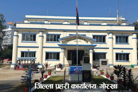 गोरखामा मध्यराति वृद्ध सासूको कानको लोती चुँडालेर सुन लुट्ने बुहारी प्रहरी फन्दामा