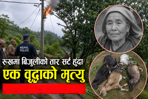 गोरखामा बाख्रा चराउन गएकी महिलाको करेन्ट लागेर मृत्यु