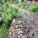 चुम उपत्यकाको चौरीखर्क पदमार्ग स्तरोन्नती हुँदै
