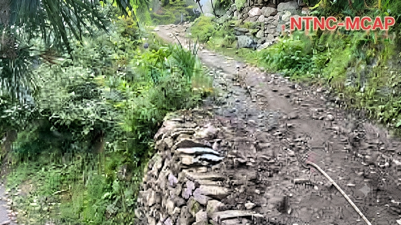 चुम उपत्यकाको चौरीखर्क पदमार्ग स्तरोन्नती हुँदै