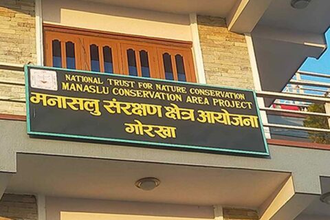 मनास्लु संरक्षण क्षेत्रमा तीन दिन प्रवेश अनुमति स्थगित